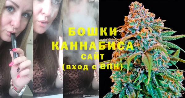 ПСИЛОЦИБИНОВЫЕ ГРИБЫ Абаза