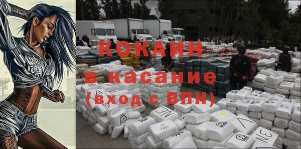 ПСИЛОЦИБИНОВЫЕ ГРИБЫ Абаза