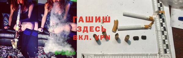 прущие грибы Абдулино
