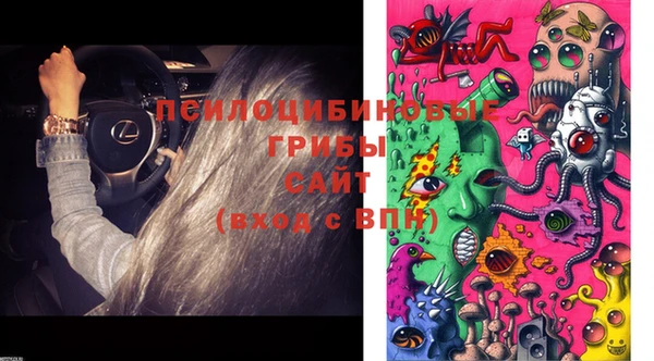 PSILOCYBIN Абинск