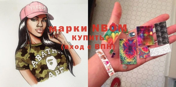 ПСИЛОЦИБИНОВЫЕ ГРИБЫ Абаза