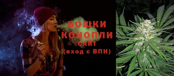 прущие грибы Абдулино