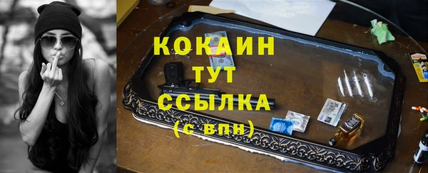 прущие грибы Абдулино