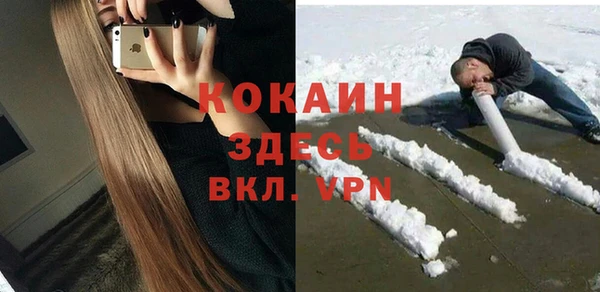 ПСИЛОЦИБИНОВЫЕ ГРИБЫ Абаза