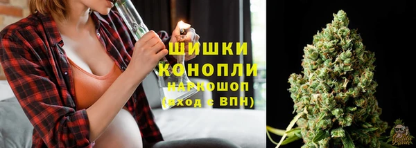 PSILOCYBIN Абинск