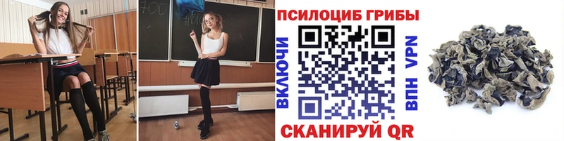 как найти закладки  Кочубеевское  ОМГ ОМГ вход  Псилоцибиновые грибы Psilocybe 